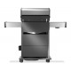 Napoleon Rogue® PRO-S 425 RSIB SIZZLE ZONE™ 5-Flammen Gasgrill mit 1 Heck