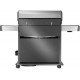 Napoleon Rogue® PRO-S 625 RSIB stainless steel SIZZLE ZONE™ 7 gas barbecue with side and rear burner